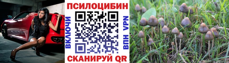 KRAKEN зеркало  Семилуки  Псилоцибиновые грибы Psilocybine cubensis  купить наркотики цена 