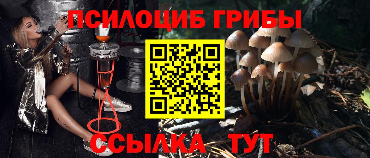 Семилуки  Галлюциногенные грибы MAGIC MUSHROOMS  Вход с VPN 