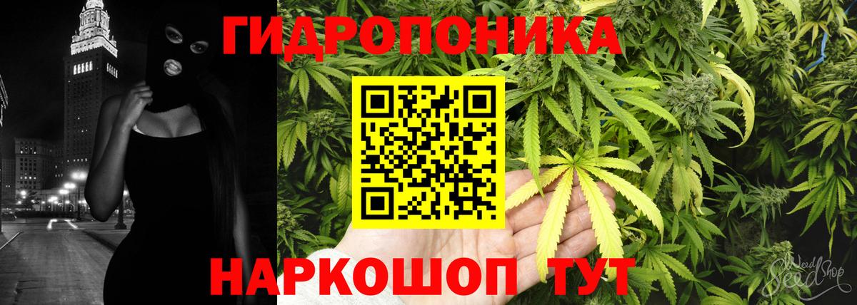 Семилуки  Бошки марихуана индика  Шишки марихуана тримм  Вход с VPN  Марихуана индика 